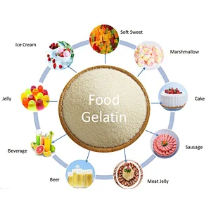 High Quality Food Gelatin 180 bloom for Candy Use